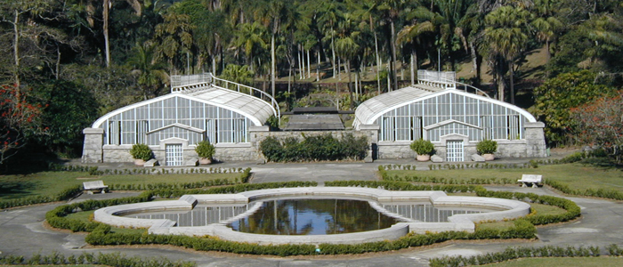 Jardim Botânico de SP preserva a fonte da independência