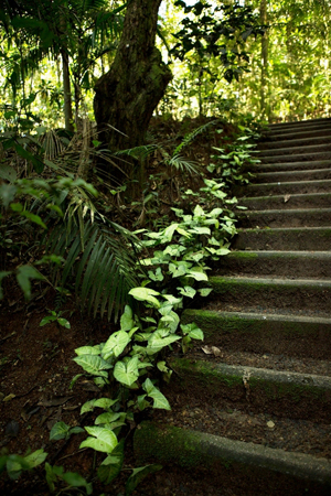 escadaria em trilha no parque burle marx