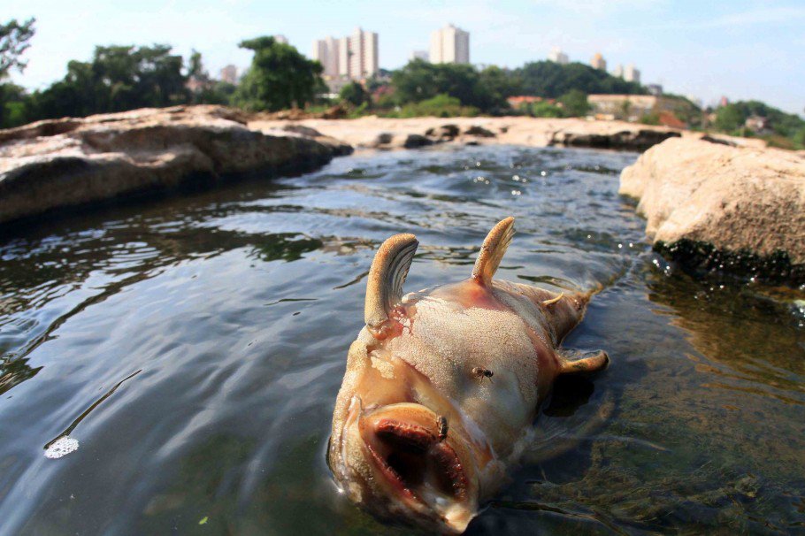 Exposição terá 80 fotos que relembram fatos marcantes de 2014