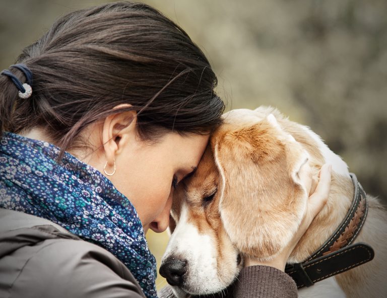 Babá para pets: serviço é ótima opção para os cuidados dos bichinhos